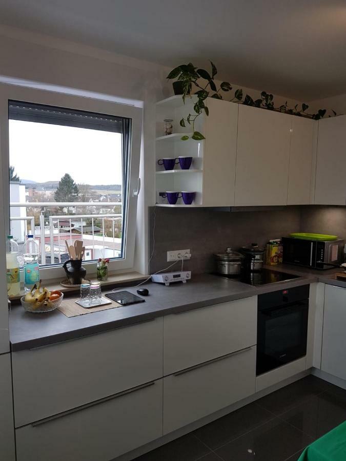 Apartment Near Frankfurt, Fantastic View! Usingen Extérieur photo