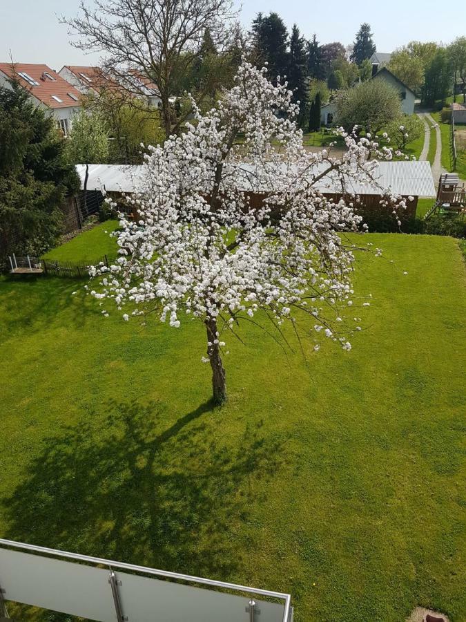 Apartment Near Frankfurt, Fantastic View! Usingen Extérieur photo